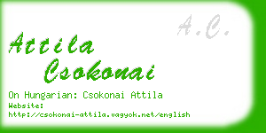 attila csokonai business card